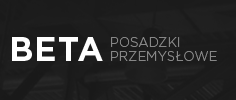 Strona www Posadzki betonowe - BETA SYSTEM